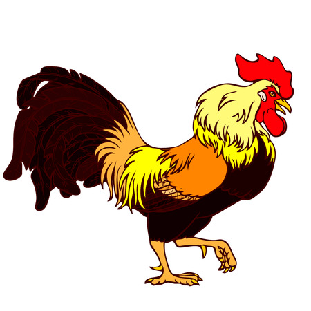 Vector illustration. A Going yellow black rooster on a white background. Fiery chicken a symbol of the Chinese new year 2017 according to east calendar.のイラスト素材