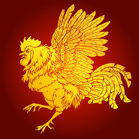 Pugnacius gold rooster on red background. Fiery red rooster symbol of the Chinese new year 2017. Vector illustration.のイラスト素材