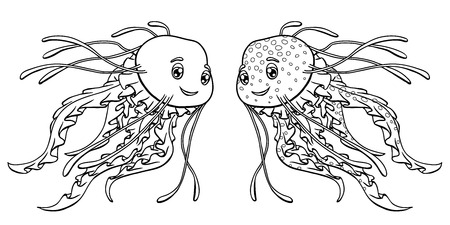 Jellyfish contour line on a whiteのイラスト素材