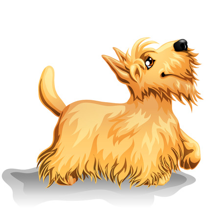 Standing puppy of a dogのイラスト素材