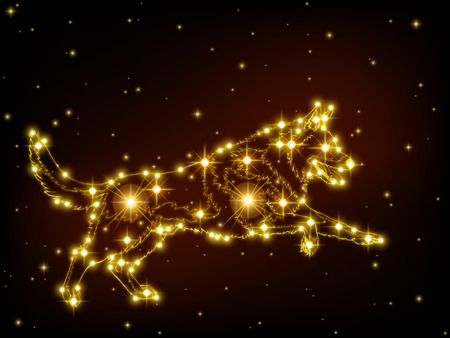 Dog German Shepard from the realistic beautiful gold stars and lineart on black background. Card with New Years mood. Vector illustration. It is possible to use on transparent.のイラスト素材
