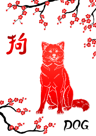 Sitting dog and oriental cherry branch on whitのイラスト素材
