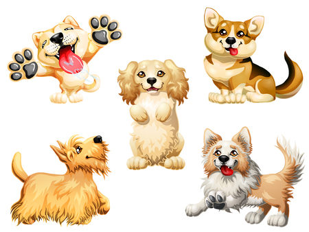 Set five puppy of a dog on whiteのイラスト素材