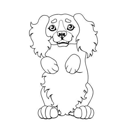 The puppy of a dog costs on hinder legsの写真素材
