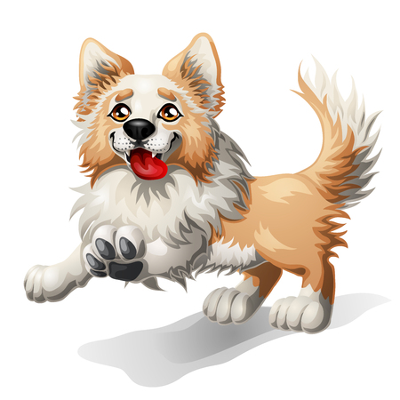 Running puppy of a dogの写真素材