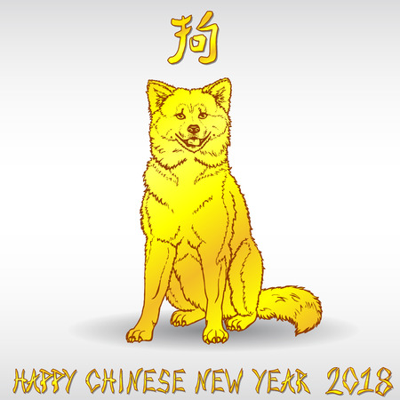 Sitting yellow dog on white backgroundの写真素材