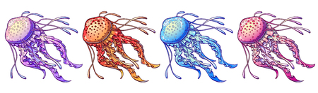 Set jellyfish four color with feelers on a white background. Light violet, blue, pink, orange marine animals. Vector illustration isolated.のイラスト素材