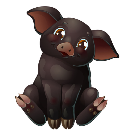 Cute black pig sits on whiteのイラスト素材