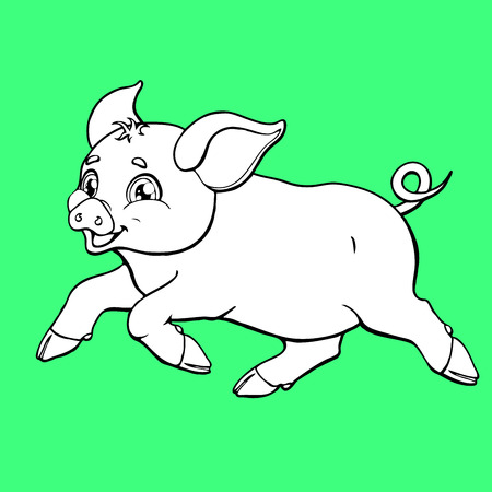 The running pig contour on green backgroundのイラスト素材