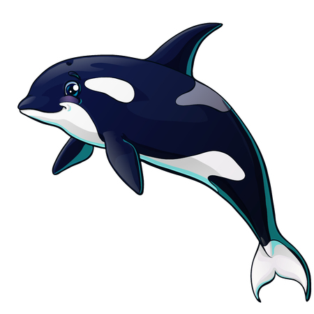 The killer whale jumps on white backgroundのイラスト素材