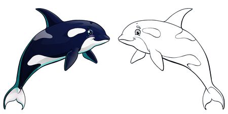 The black and white killer whale jumps colorful and contour line on white background, isolated. Cartoon 3d vector illustration of sea animalのイラスト素材