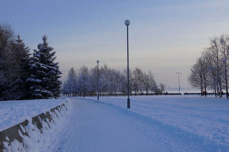 winter evening in the parkの写真素材
