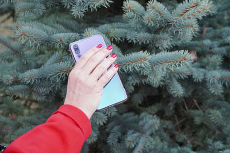 hand with red manicure holding a mobile phone.