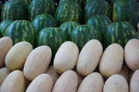 harvest - melon, watermelonの写真素材