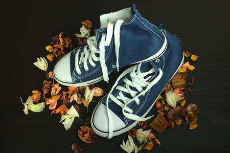 blue slippers on dry autumn flowers on a black background