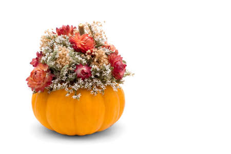 A fall floral display of dried flowers and a pumpkin isolated on a white background.の写真素材
