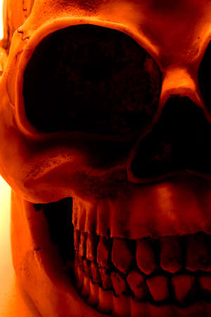 Halloween skull in orange light.