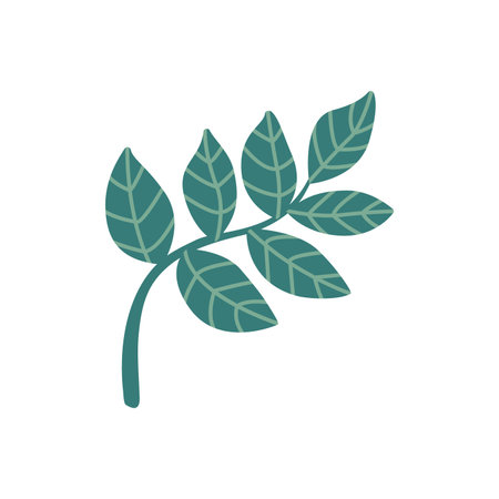 Decorative hand drawn flat floral leaf vector isolated elementのイラスト素材