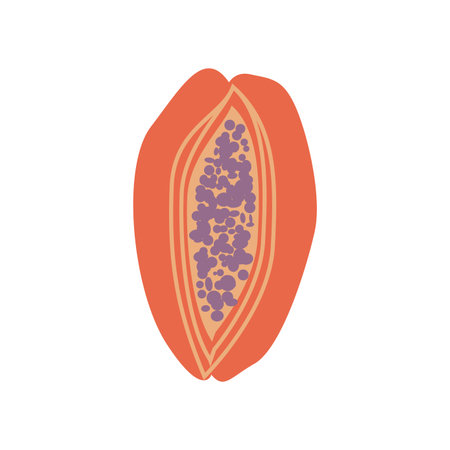 Papaya fresh organic fruit vector illustration on a white backgroundのイラスト素材