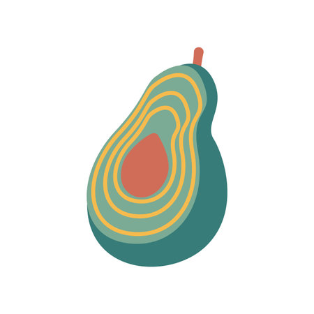 Avocado with bone, vector illustration on a white backgroundのイラスト素材
