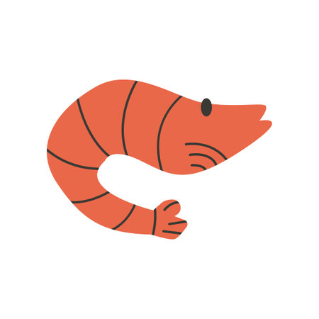 Orange shrimp on a white background element cartoon icons. Vector hand drawn Illustrationのイラスト素材
