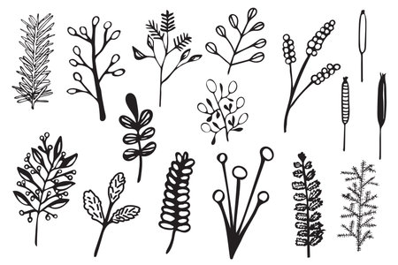 Hand Drawn vintage floral elements of flowers, leaves, branches, decorative plants for design background, invitations, greeting cards, logos, flayers, scrapbooking, etcのイラスト素材