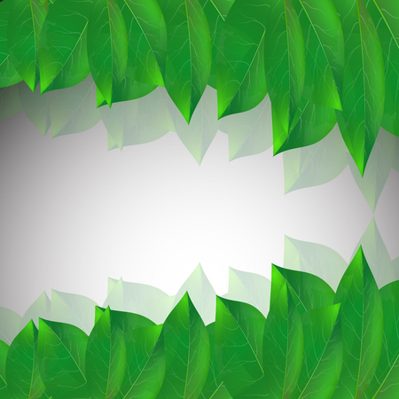 vector illustration of a green leaves on a gray backgroundのイラスト素材