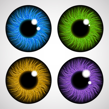 Iris of the human eye. Isolated on light background. Various colored eye lenses. Realistic vector illustration.のイラスト素材