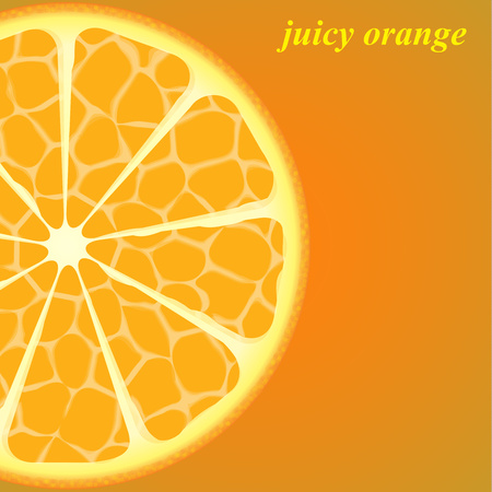 Round slice of fresh juicy orange isolated on bright orange background. Vector illustration for your design.のイラスト素材