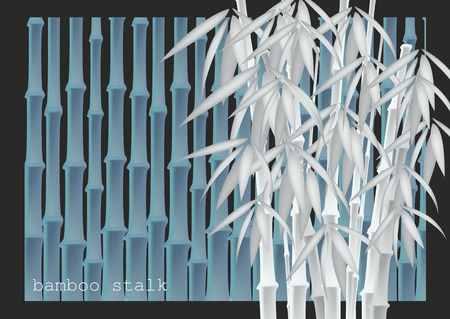 Abstract background of bamboo trees. Bamboo stalks. Vector illustration of tropical plants for your design.のイラスト素材