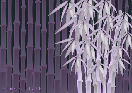 Abstract background of bamboo trees. Bamboo stalks. Vector illustration of tropical plants for your design.のイラスト素材