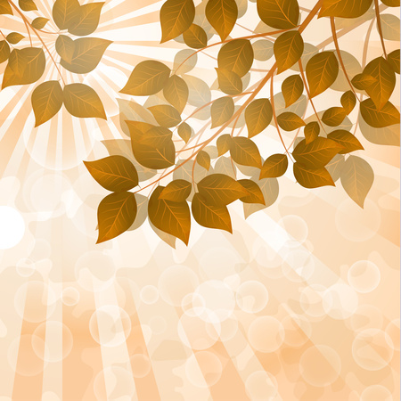 Autumn trees with yellow, golden, red leaves. Sun rays, glare. Autumn landscape. - Vector graphicsのイラスト素材