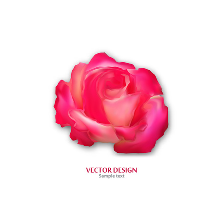 Modern romantic isolated bright abstract rose on white background. Rose flower vector icon logo template. Template for your business. Creative abstract colorful concept - vector graphicsのイラスト素材