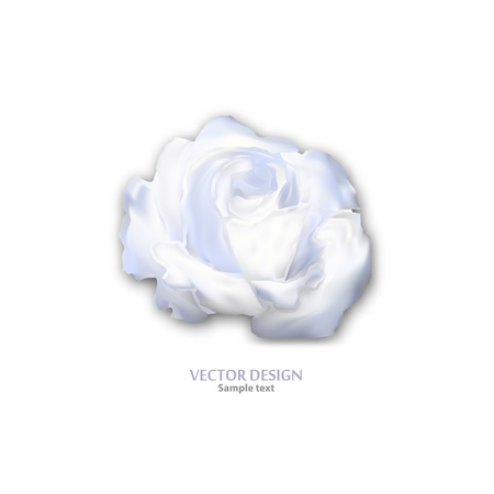 Modern romantic isolated bright abstract rose on white background. Rose flower vector icon logo template. Template for your business. Creative abstract colorful concept - vector graphicsのイラスト素材