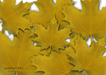 Abstract background from a variety of bright maple leaves on a white background. Stylish modern design for flyers, posters, flyers, banners. Vector illustrationのイラスト素材