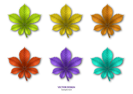 Set of isolated multi-colored chestnut leaf on a white background. Vector illustrationのイラスト素材