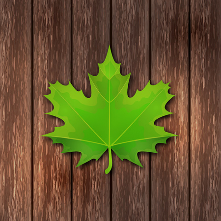 Bright green spring maple leaf on the background of wooden boards. Template for banner or advertisement. Vector illustration for your design.のイラスト素材