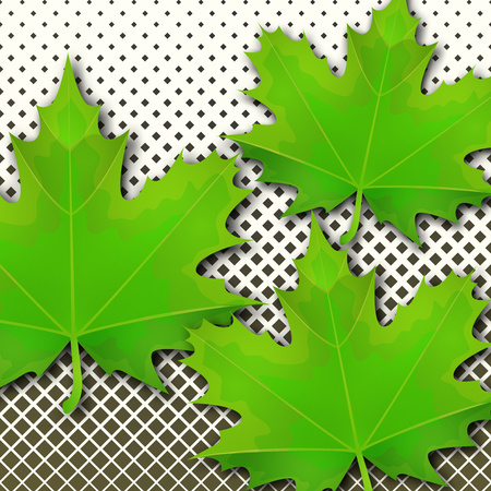 Bright spring green maple leaves on a background of small squares of halftones. Template for banner or advertisement. Vector illustration for your design.のイラスト素材