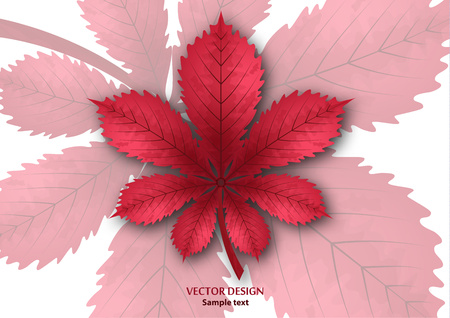 Bright isolated horse chestnut leaf on a white background. Vector illustration for your design.のイラスト素材