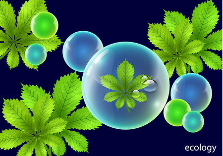 Vector element for environmental design. Water drops in the shape of a shiny ball with bright green chestnut leaves - Vector Graphicsのイラスト素材