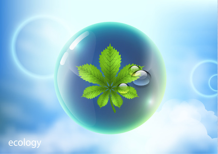 Vector element for environmental design. Water drops in the shape of a shiny ball with a bright green chestnut leaf against the blue sky - Vector Graphicのイラスト素材