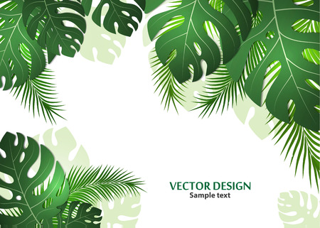 Vector background with tropical monster leaves and palm leaves. Bright abstract background for banner, flyer or cover with copy space for text or emblem - vector graphicsのイラスト素材