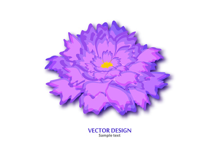 Decorative floral background with flowers of peony on a white background. Romantic design for natural cosmetics, perfumes, women's goods, salons, spa. Vector illustrationのイラスト素材