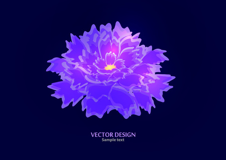 Decorative floral background with flowers of peony on a dark background. Romantic design for natural cosmetics, perfumes, women's goods, salons, spa. Vector illustrationのイラスト素材