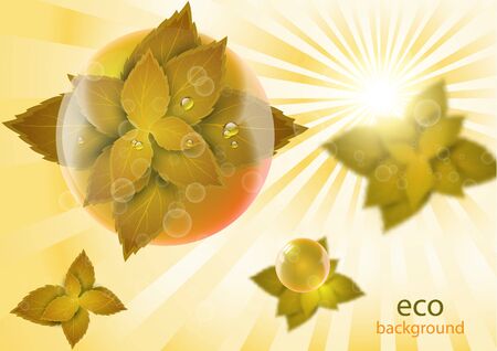 Abstract illustration on the theme of ecology. Bright leaves through the prism of a drop of water on the background of the rays of the sun. Vector illustration for your design.のイラスト素材
