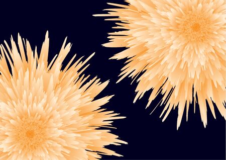 Bright beautiful bud of a peony, aster on a black background. Elegant flower close-up. Botanical vector for banner, card, invitation, textile, fabric. Vector illustration.のイラスト素材