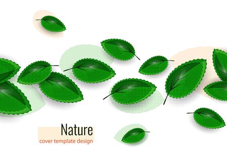 Fresh green leaves on white. Creative abstract background for your design. Vector illustrationのイラスト素材