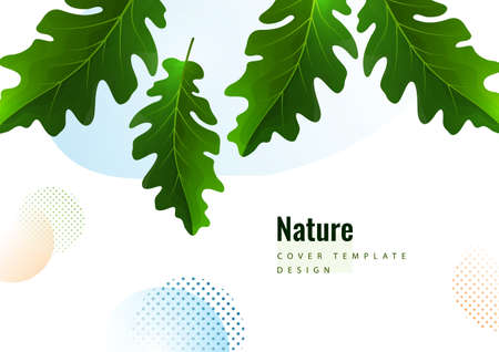 Creative green oak leaves on a light background. Template for your design. Vector illustrationのイラスト素材