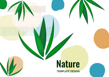 Creative flowing overlapping shapes, palm leaves. Cover for a natural product. Fashionable art for cover, poster, internet, page, social, media, postcards. Vector illustrationのイラスト素材