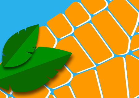 Modern abstract background with cut out isolated leaves on geometric shapes. Vector illustrationのイラスト素材